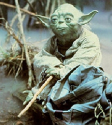 yoda.jpg