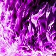 7-violet-purple-flames-tm-1-500.jpg